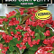 Бегония Фея F1 вечноцветущ махров красная цв Аэлита