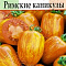 Томат Римские каникулы цв Аэлита 