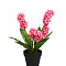 Гиацинт в горшочке розовый 40см 8J-K0013/1 Garda Decor