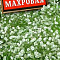 Гипсофила Махровая многолетняя 0,05г цв.Аэлита
