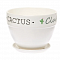 Горшок для цветов керамический Кактус клуб №2 d12см Овал борт
