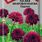 Космея Махровая кнопка бордовая 0,1г цв Поиск