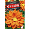Георгина Фигаро махровая оранжевая цв. Аэлита