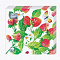 Салфетки бумажн. Bouquet Home collection Classic 3-х сл 20шт 33х33 Земляника 42332
