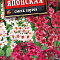 Примула японская смесь цв Аэлита