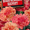 Гвоздика Шабо Нежный щербет цв.Аэлита