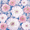 Салфетки бумажн. Bouquet Home collection Classic 3-х сл 20шт 33*33 Цветочн.композ 57761