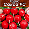 Редис Сакса РС 2г цв Аэлита (лидер)