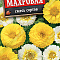 Хризантема Махровая увенчанная смесь цв Аэлита