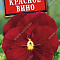 Виола Красное вино цв Аэлита