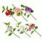 Цветок иск 35см Гортензия 409-019 6 цветов