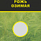 Рожь озимая 1кг сидерат, зеленое удобрение (20) ПАБ