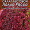 Салат листовой Лолло Росса 0,5г цв Аэлита (лидер)