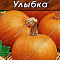 Тыква крупноплодная Улыбка цв. Аэлита