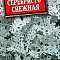 Цинерария Серебристо-снежная цв Аэлита