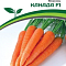 Морковь Канада 0,5г цв Партнер