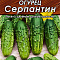 Огурец Серпантин 20шт цв Аэлита (лидер)