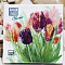 Салфетки бумажн. Bouquet Home collection 3-х сл 20шт Весен.цветение 25365