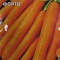 Морковь Форто 2гр LISTOK