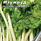 Мангольд Изумруд цв Аэлита