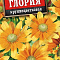 Рудбекия Глория крупноцв цв Аэлита