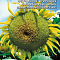 Подсолнечник кондитерский Скороспелый ч/б Марс Урал.Дачник
