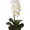 Орхидея белая в горшке h46см 29BJ-170-06 GARDA DECOR