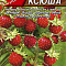Ежевика Настена-сластена 15шт цв.Аэлита 