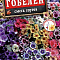 Флокс Гобелен смесь цв. Аэлита