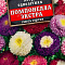 Астра Помпонелла Экстра смесь цв Аэлита (лидер)