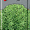 Кохия Султан 0,1г цв Поиск