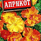 Эшшольция Априкот цв. Аэлита