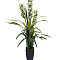 Орхидея CYMBIDIUM искусств. белая в горшке h110см 9BJ-911-45 GARDA DECOR