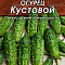 Огурец Кустовой 20шт цв Аэлита (лидер)