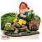 Фигура Гном с черепахой F08837