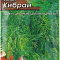 Укроп Кибрай цв Аэлита (лидер)