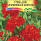 Гвоздика садовая Гренадин Морковный король 0,05г цв Гавриш