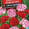 Пеларгония Дансер F2 Ланкастер смесь цв Аэлита