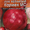 Лук репчатый Кармен МС 0,5г цв Аэлита (лидер)