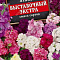 Левкой Выставочный экстра смесь цв Аэлита (лидер)