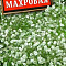 Гипсофила Махровая многолетняя 0,05г цв.Аэлита