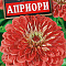 Цинния Априори цв Аэлита