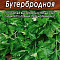 Петрушка листовая Бутербродная 2г цв Аэлита