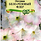 Петуния Бело-розовый флер многоцветковая 0,02г цв Гавриш