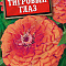 Цинния Тигровый глаз цв Аэлита