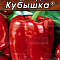 Перец сладкий Кубышка цв. Аэлита (лидер)