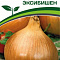 Лук репчатый Эксибишен цв 0,5гр