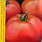 Томат Гаидас 0,1г Россельхозцентр