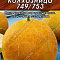 Дыня Колхозница 749/753 15шт ч/б Аэлита