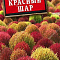 Кохия Красный шар 0,1г цв Аэлита